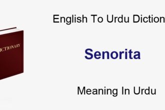 Senorita Meaning in Urdu