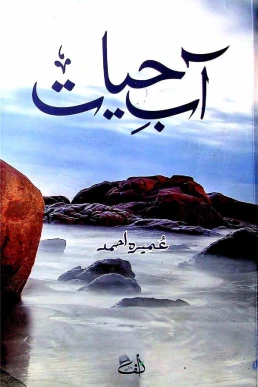 Aab-e-Hayat Novel